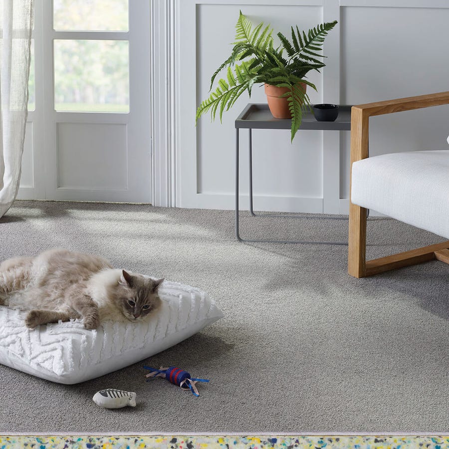 Textured loop pile carpet, Dromana